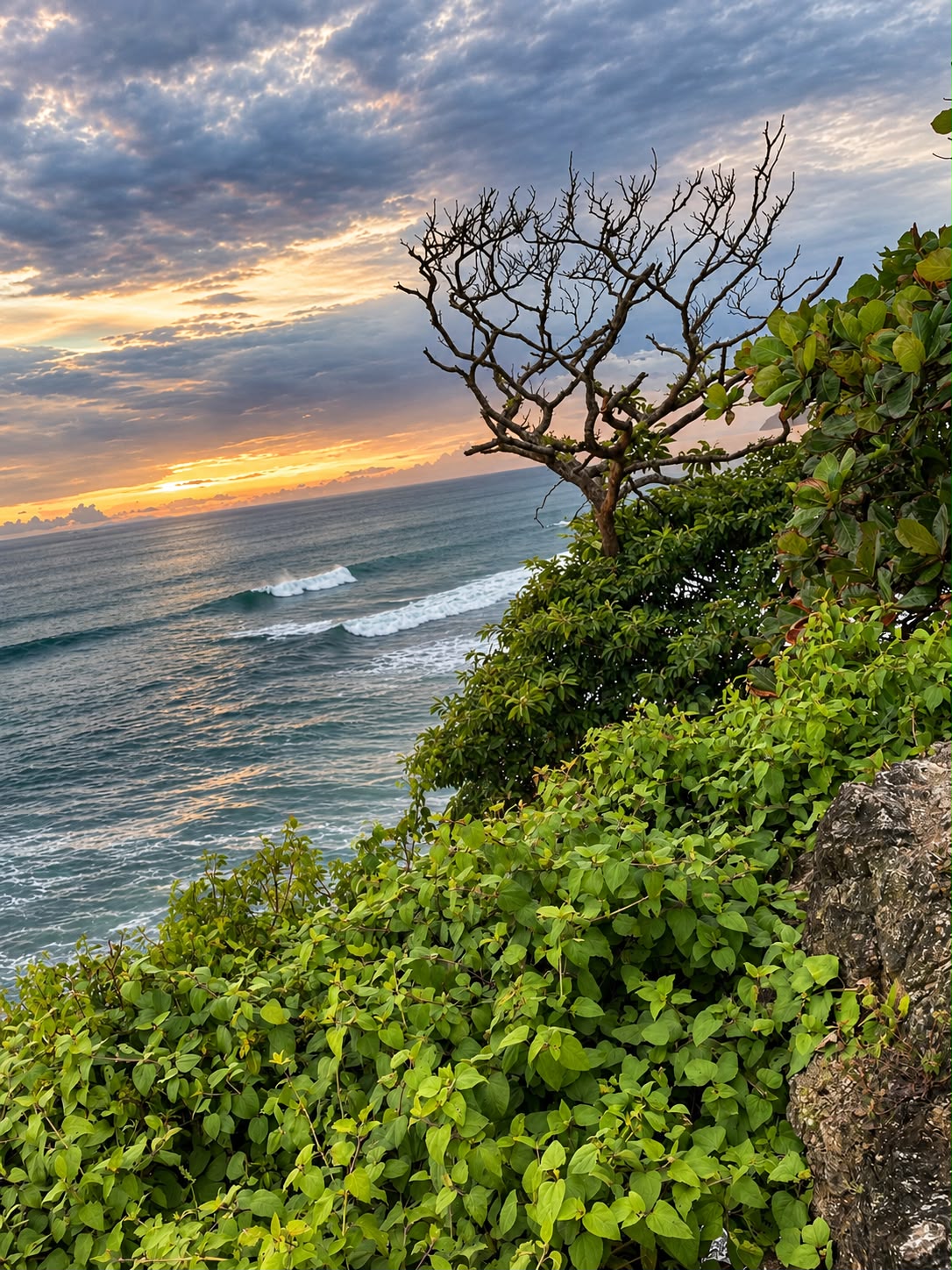 Pacific coastline in Costa Rica at sunset
